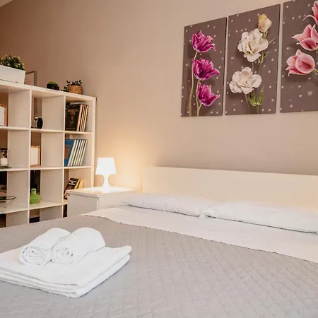 Casa Bramante - Comfort Tra Inalpi Arena, Ospedali E Centro