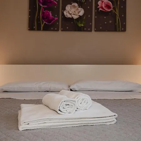 Apartamento Casa Bramante - Comfort Tra Inalpi Arena, Ospedali E Centro